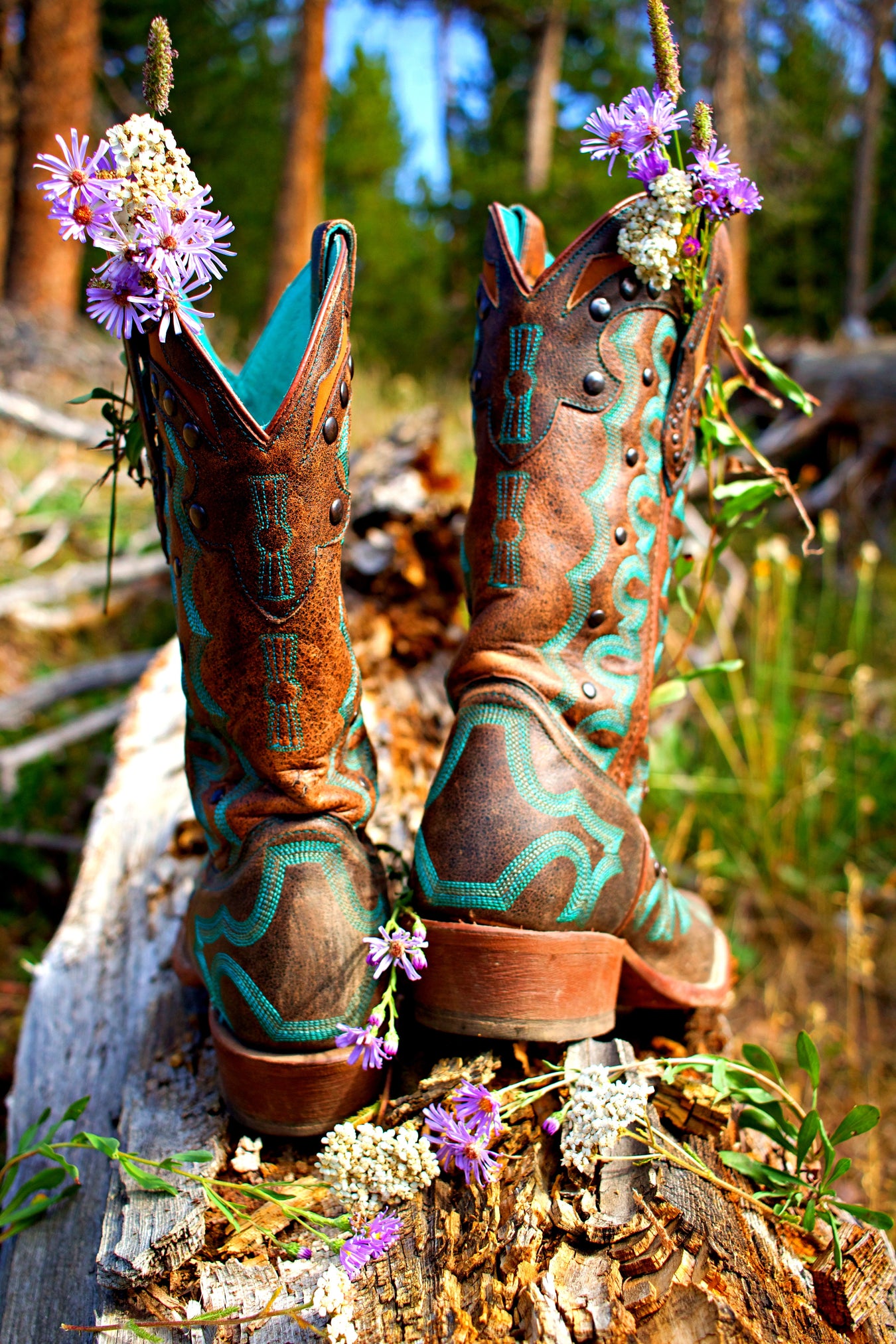 Botas Vaqueras con Estilo - Calzado Elegante para Todos