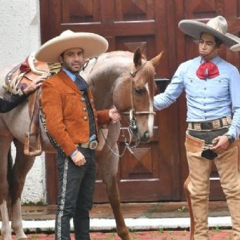 ¿Cuál es la Importancia de los Moños en el Atuendo Charro?