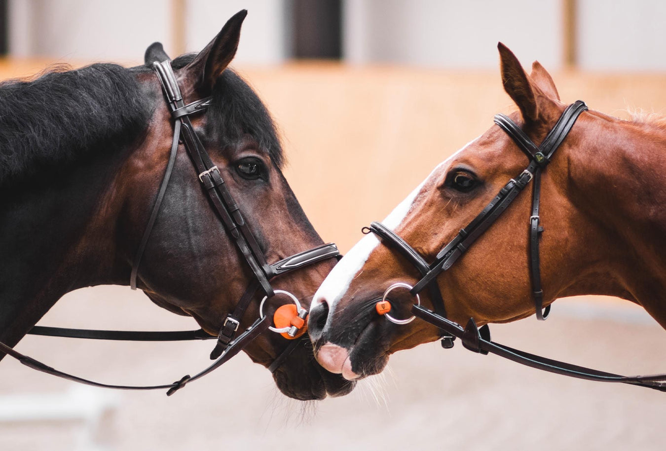 Frenos de Caballo para Mejorar el Manejo