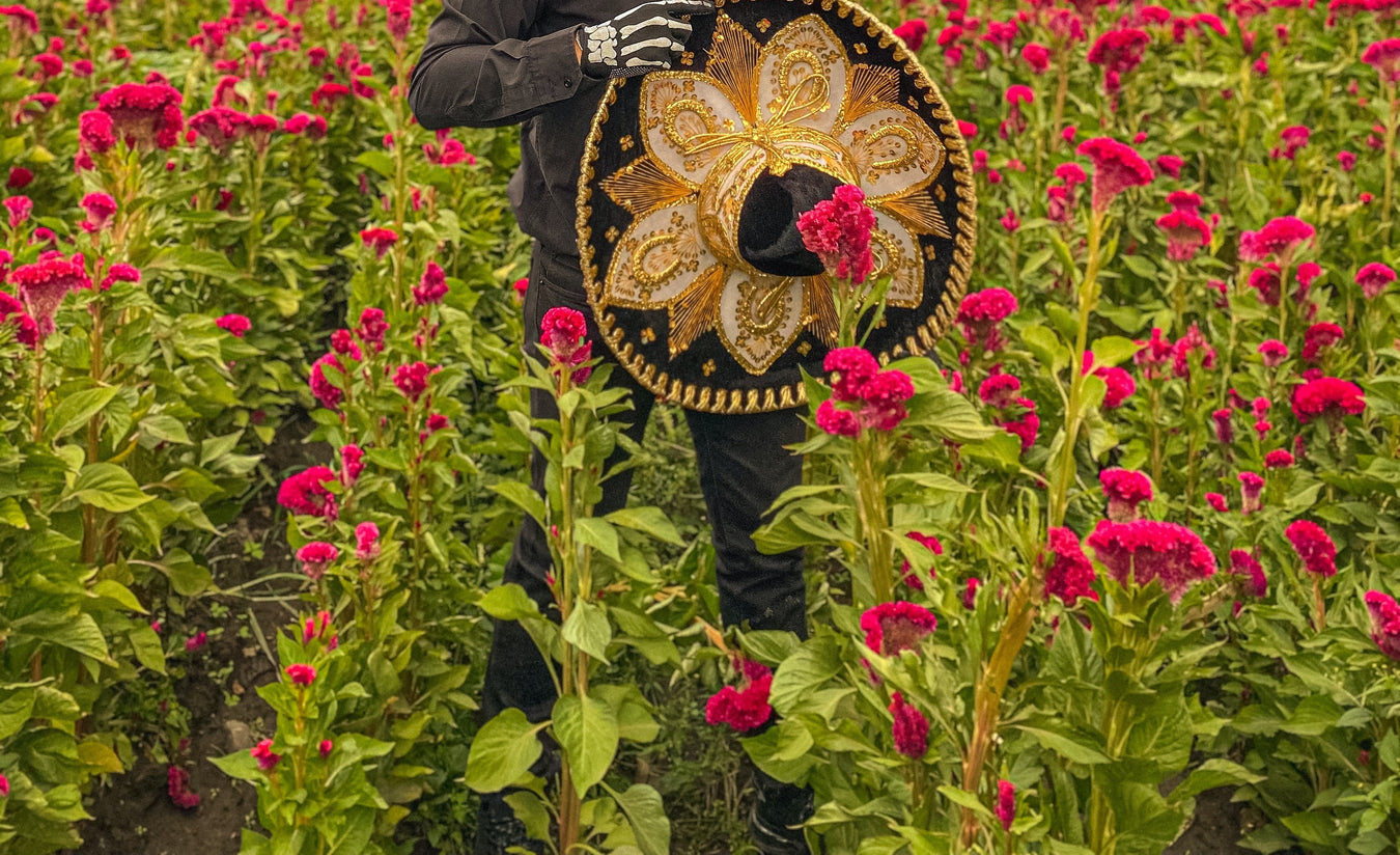 Colección de Sombreros Exclusivos